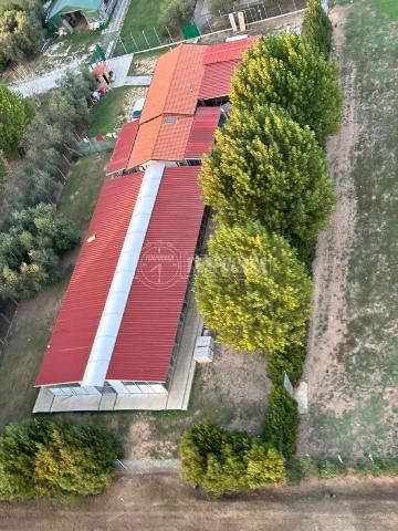 Detached house in Via delle Lenze, Massarosa - Photo 1