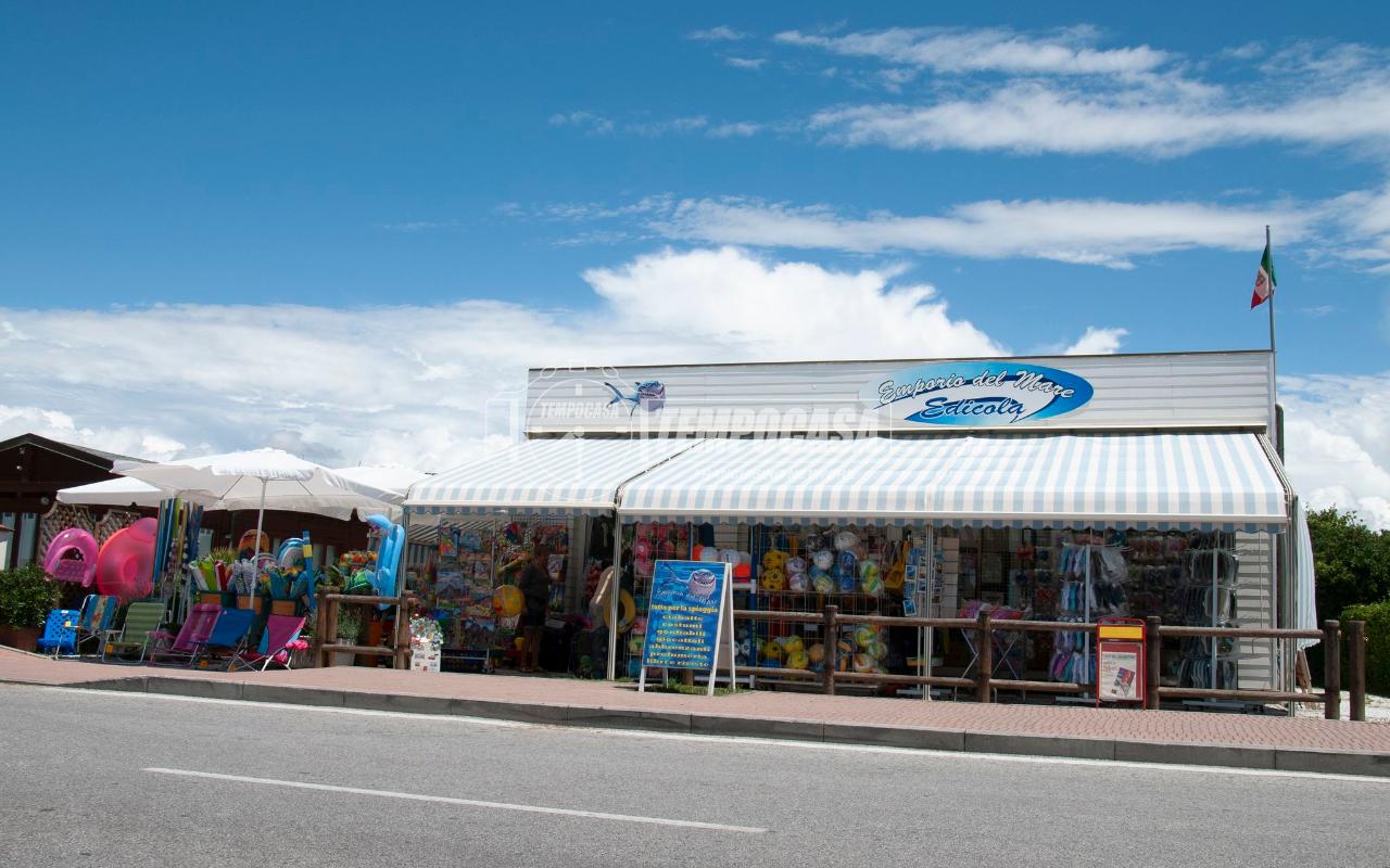 Negozio in Viale Europa, Viareggio, {3} - Foto 1