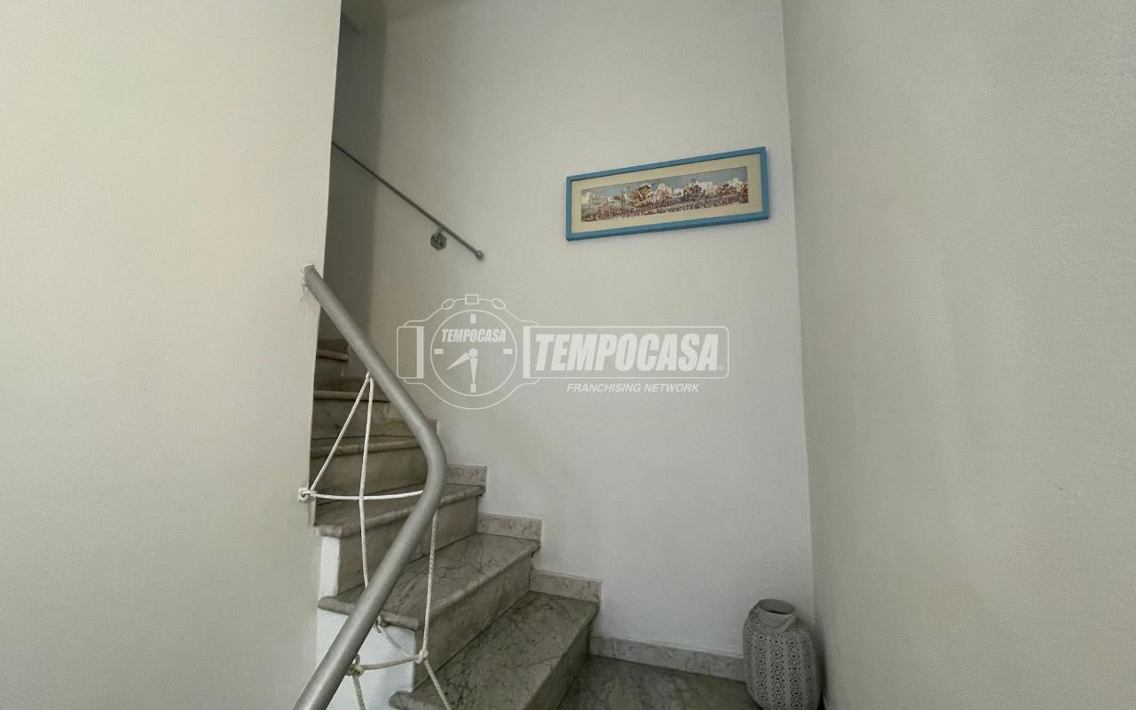 immagine annuncio 7 di 14