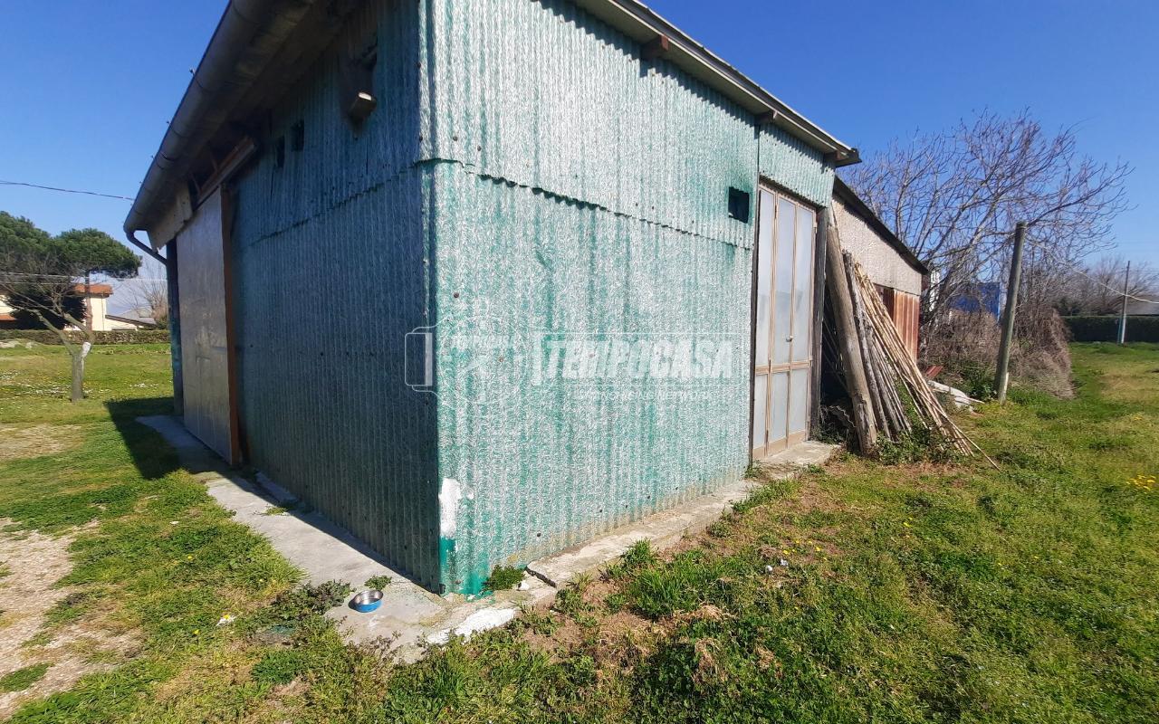 immagine annuncio 6 di 9