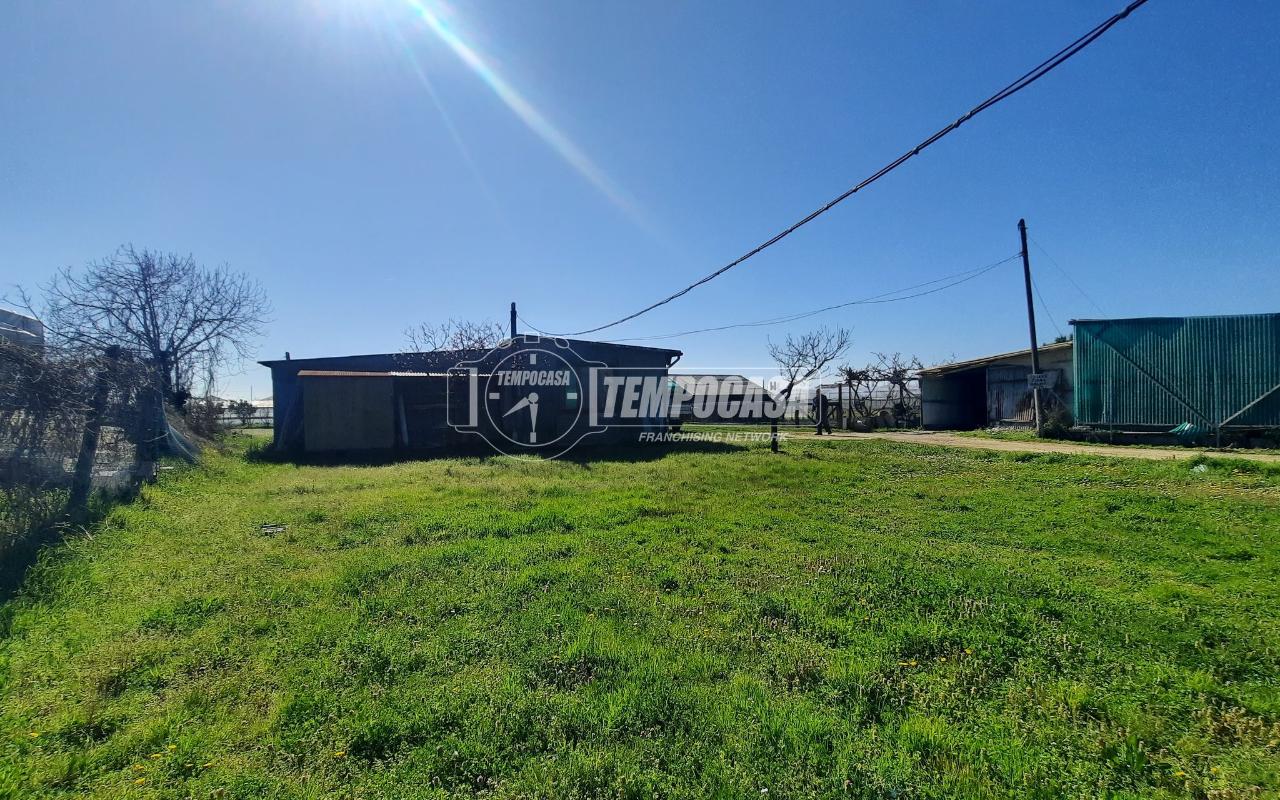 immagine annuncio 3 di 9