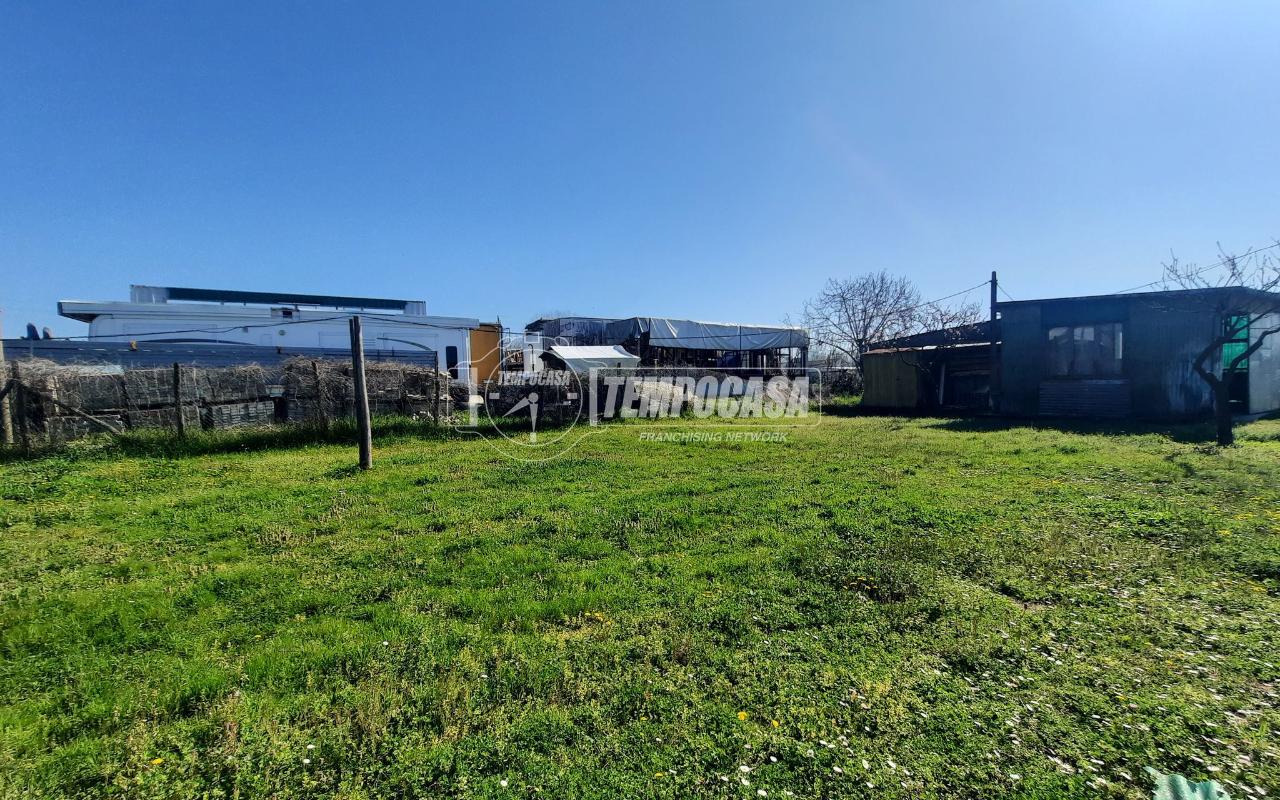 immagine annuncio 2 di 9