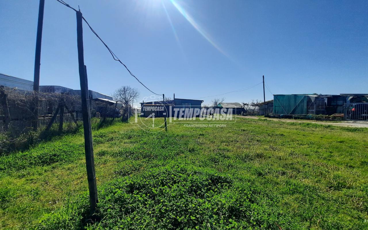 immagine annuncio 1 di 9