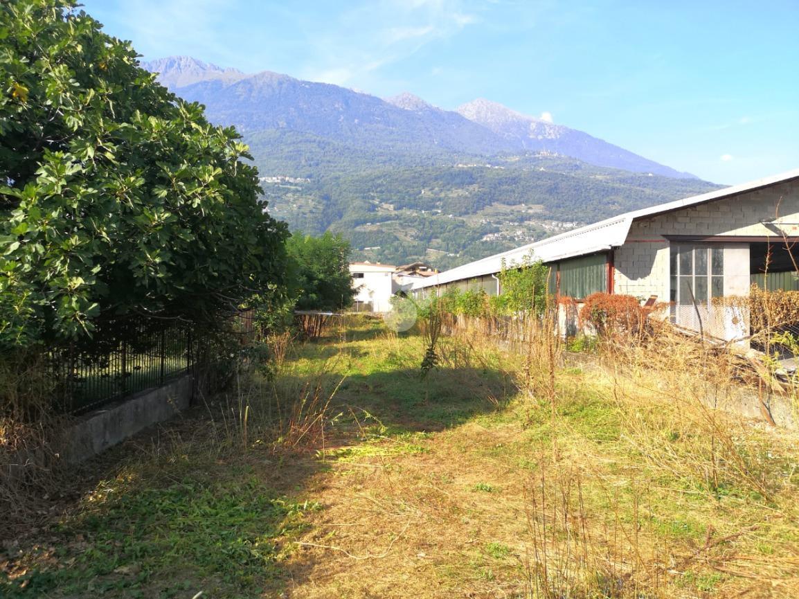 Terreno agricolo in affitto a Cosio Valtellino