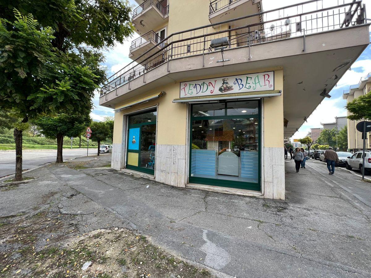 Esercizio commerciale in Via Leonardo da Vinci 72, Cassino - Foto 1