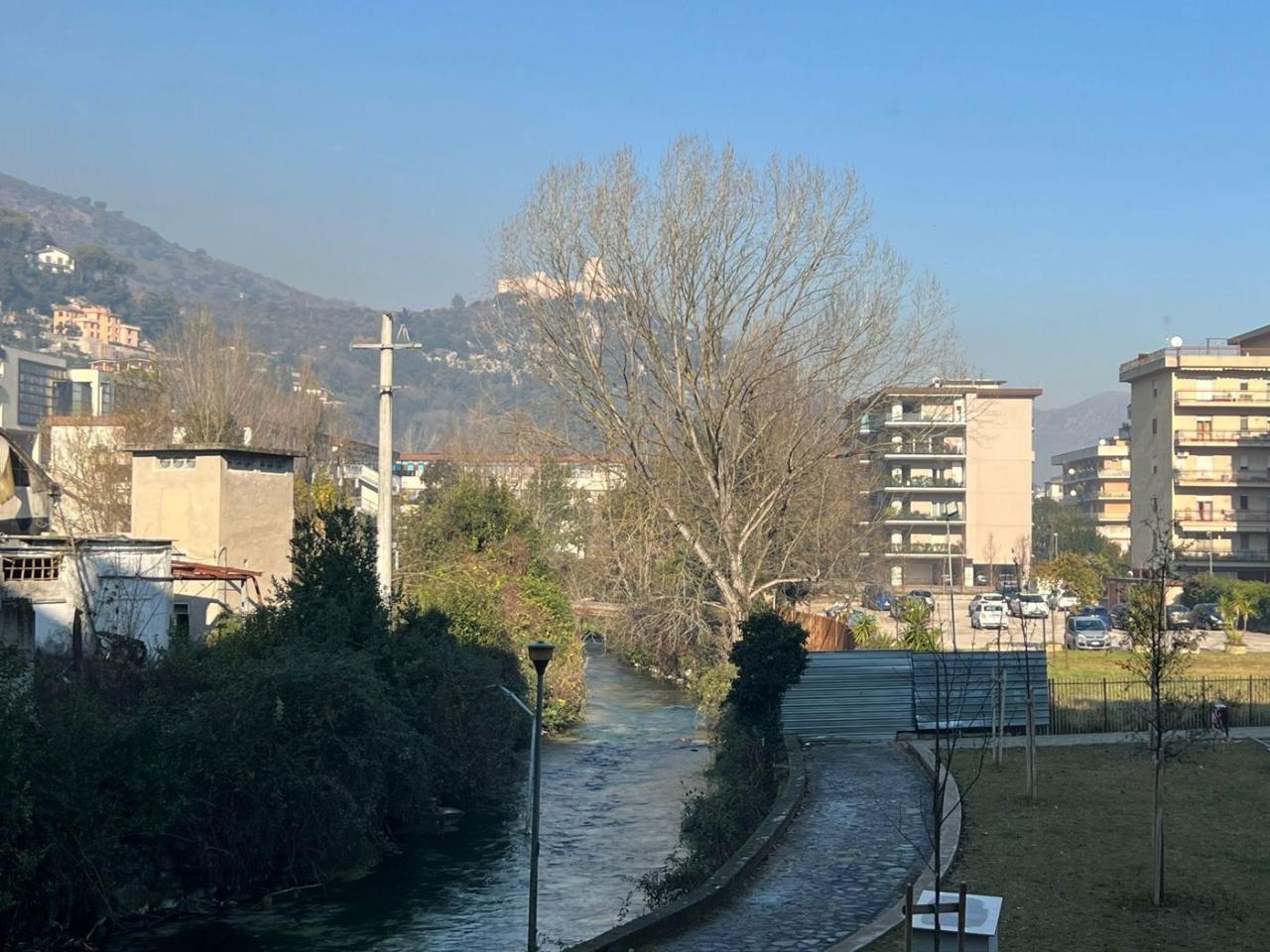 immagine annuncio 4 di 11