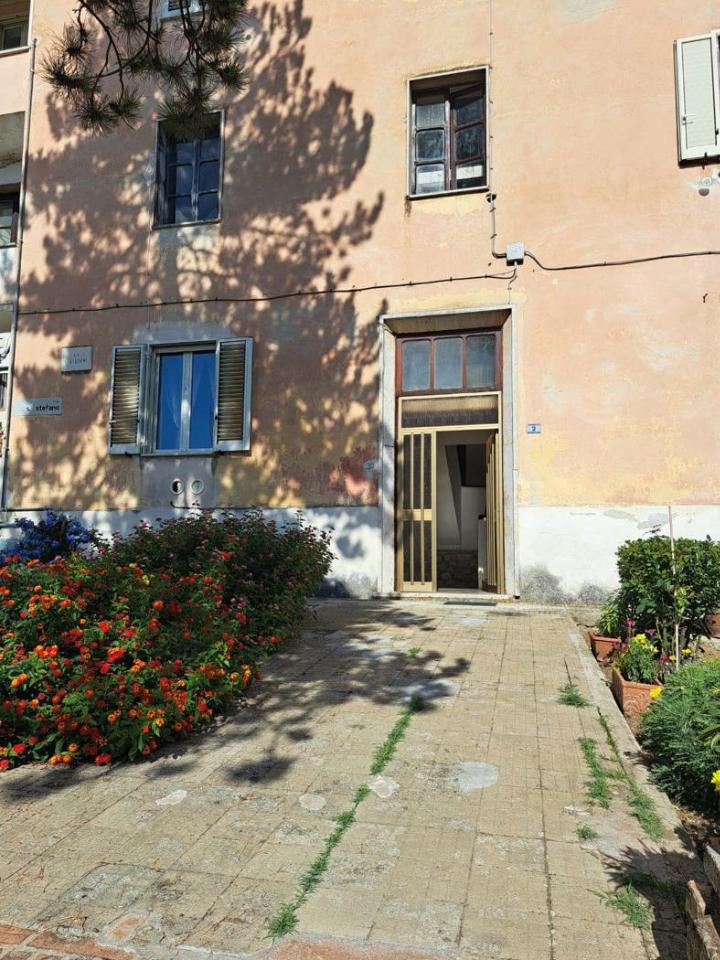 immagine annuncio 2 di 12