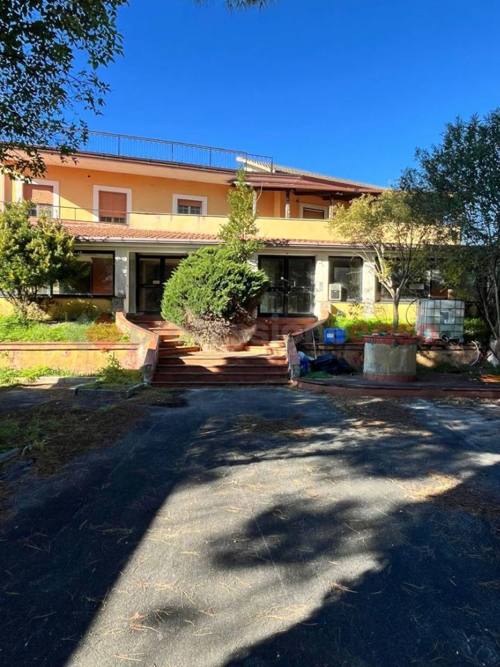 immagine annuncio 7 di 14