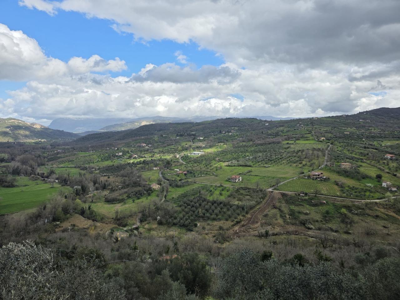 immagine annuncio 12 di 14