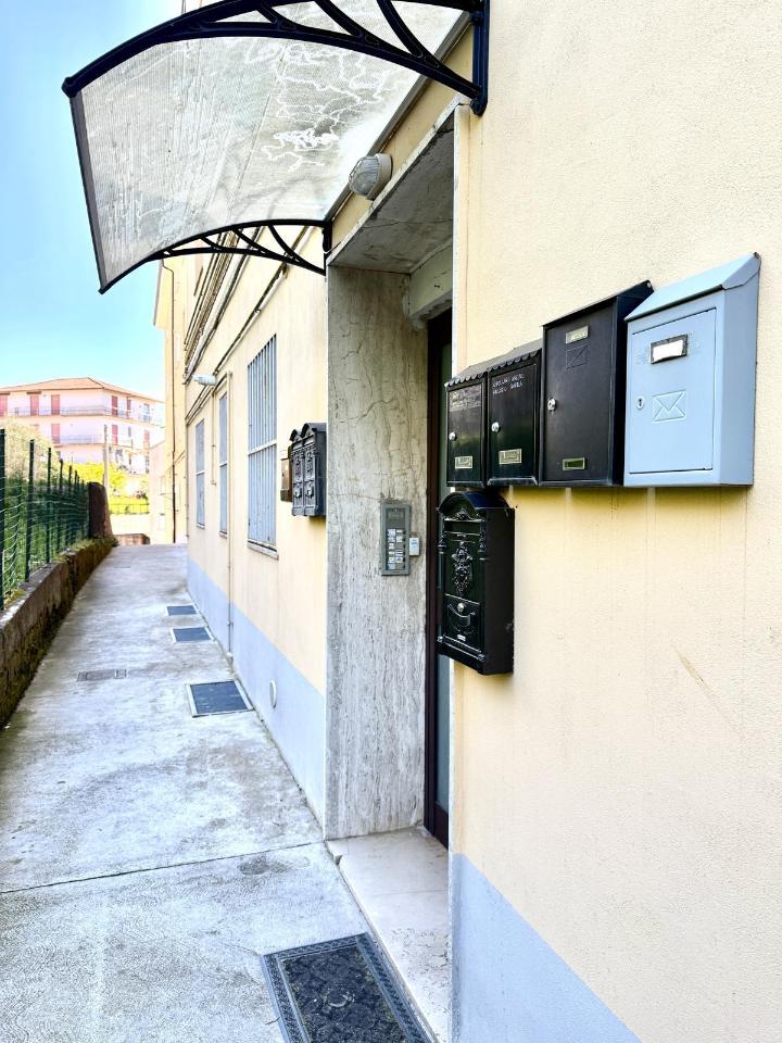 immagine annuncio 9 di 11