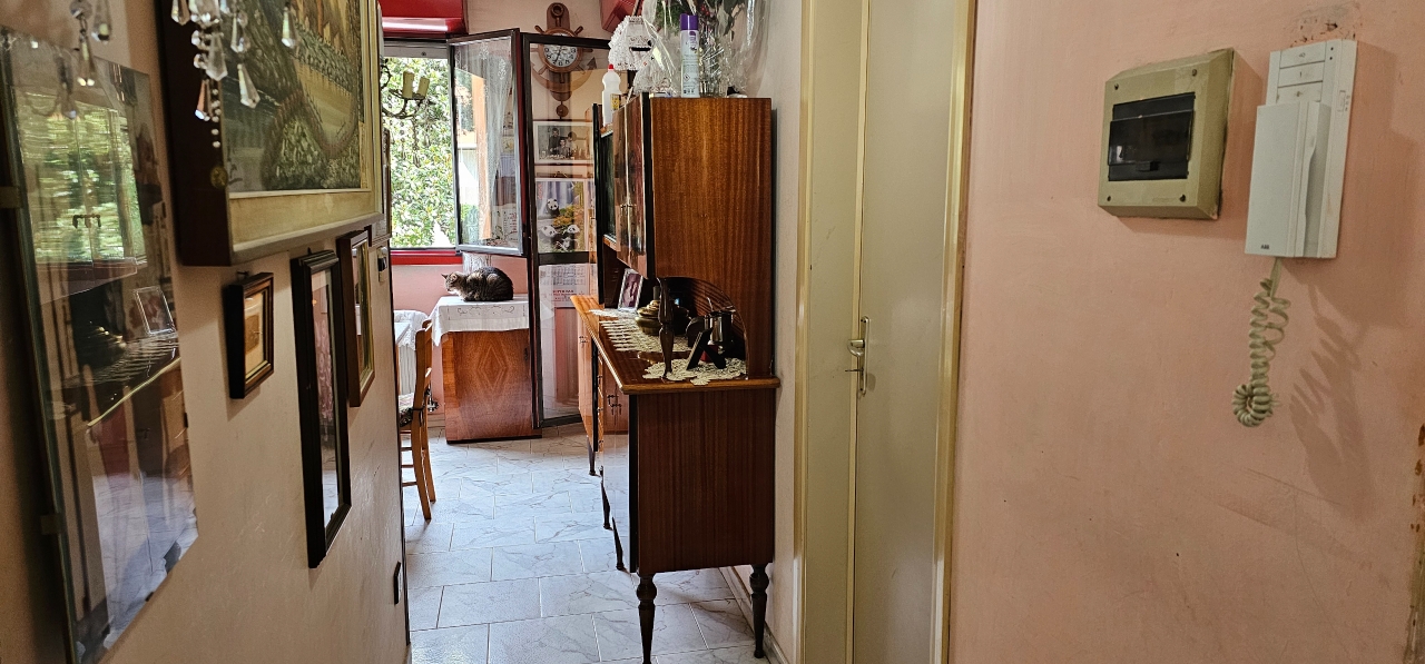 immagine annuncio 3 di 13