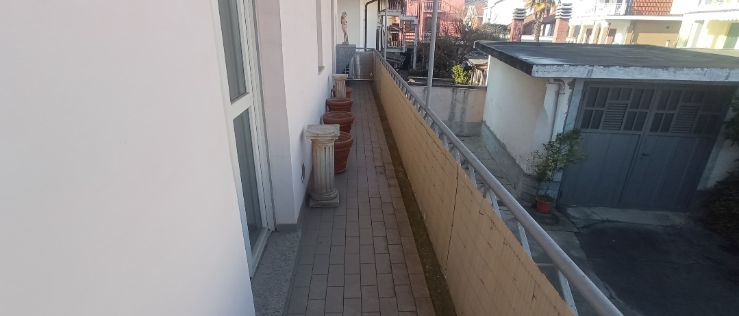immagine annuncio 10 di 14