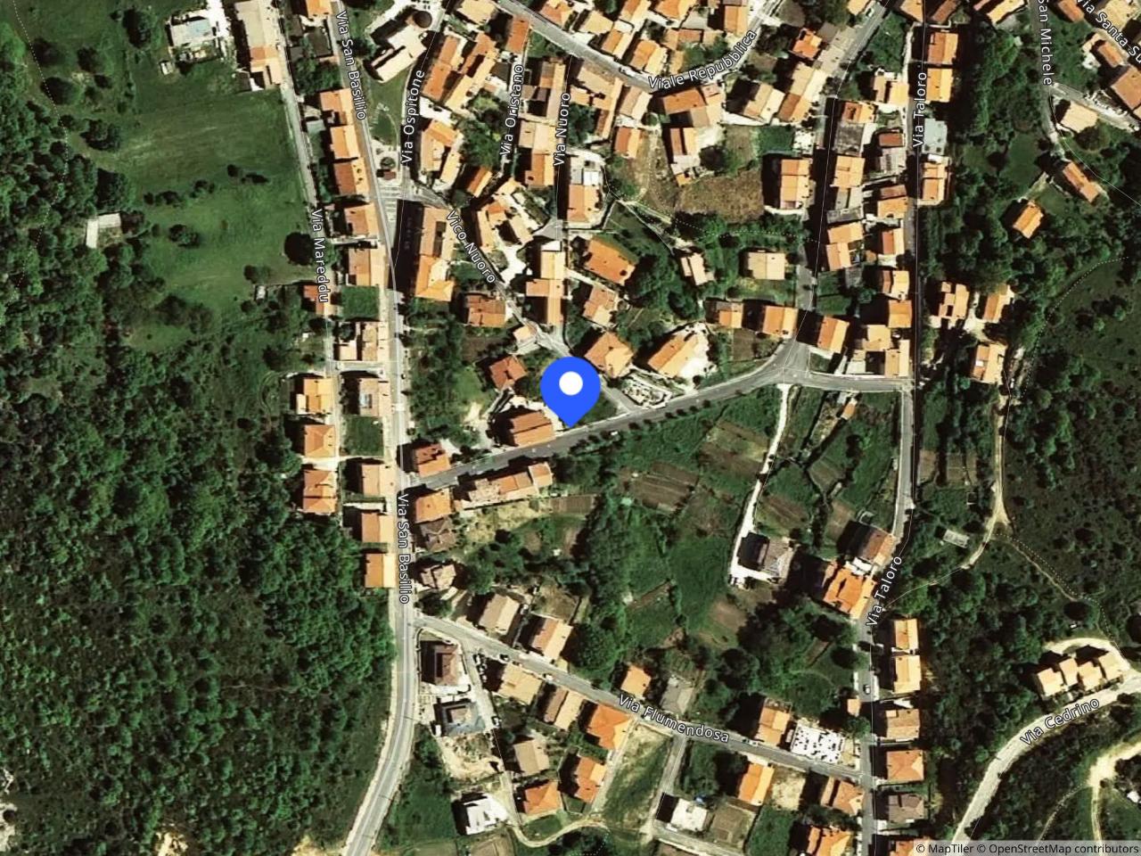 Negozio in Via Rio Mannu  08020, Ollolai, {3} - Foto 2