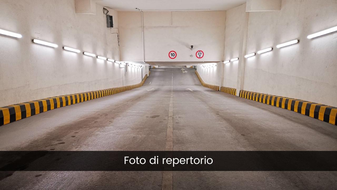 Autorimessa in Frazione Mellarolo, Località Albi  23013, Cosio Valtellino, {3} - Foto 1