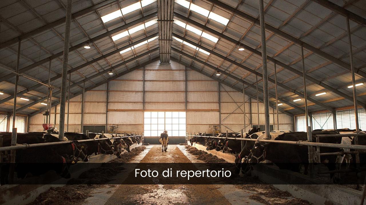 Autorimessa in Via Vittorio Emanuele, 32  96010, Melilli, {3} - Foto 1