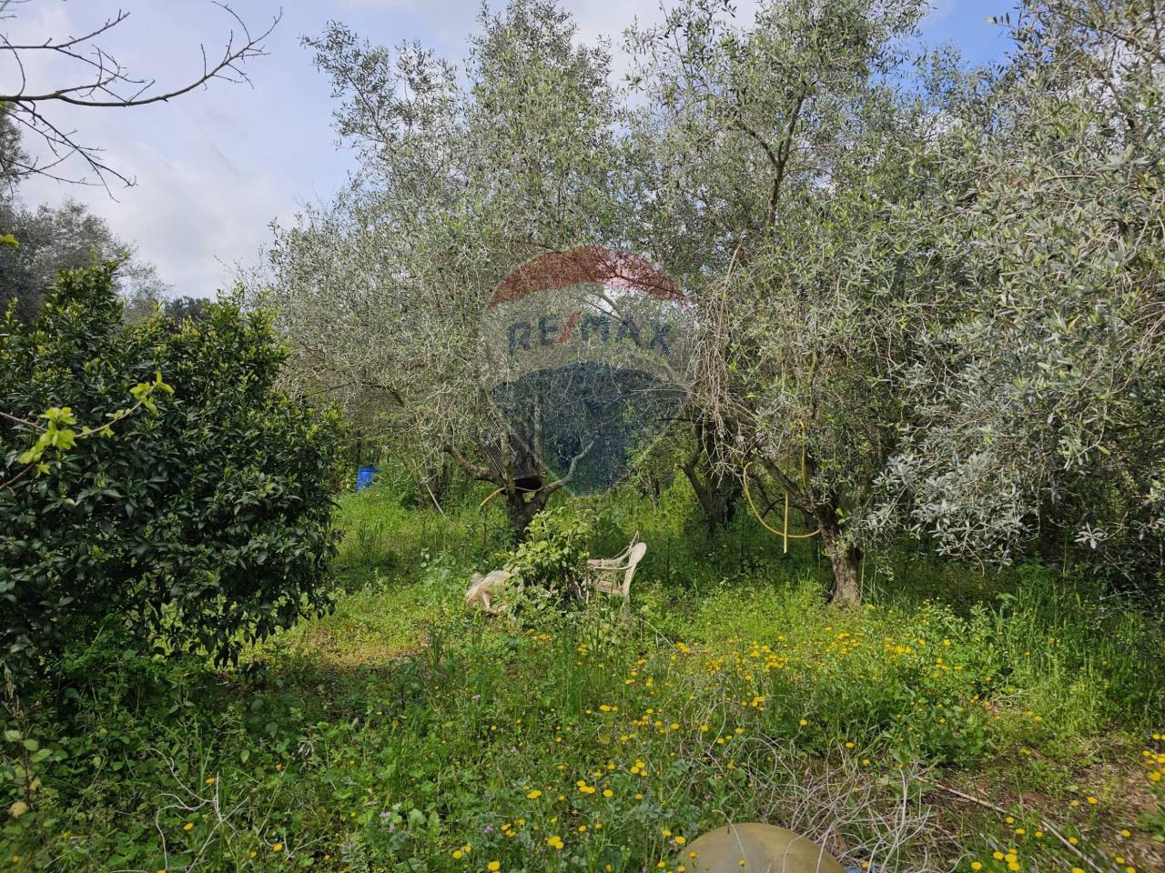 Villa in vendita a Pomezia