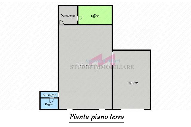 main planimetry real estate image