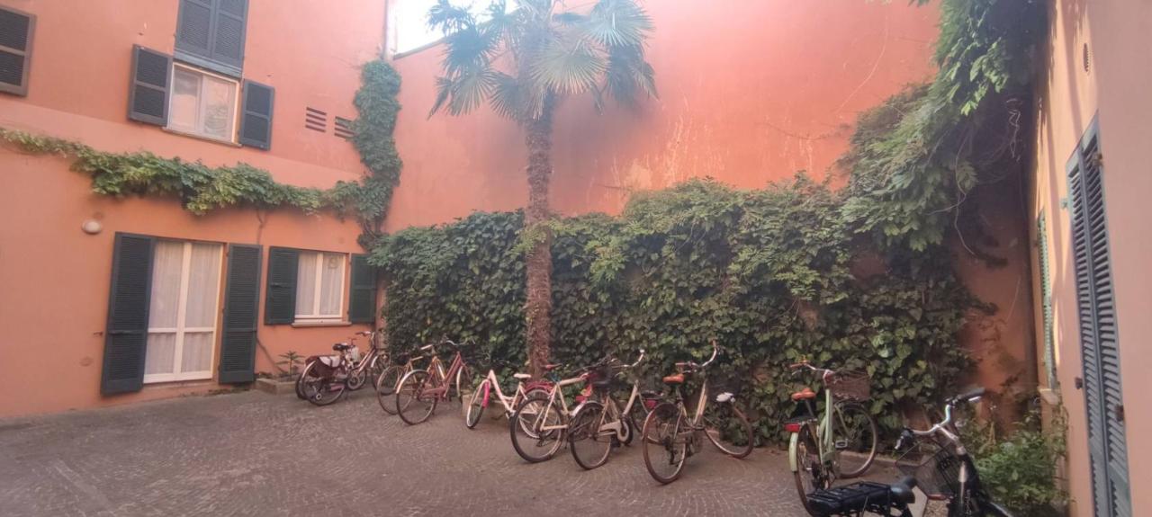 immagine annuncio 7 di 11