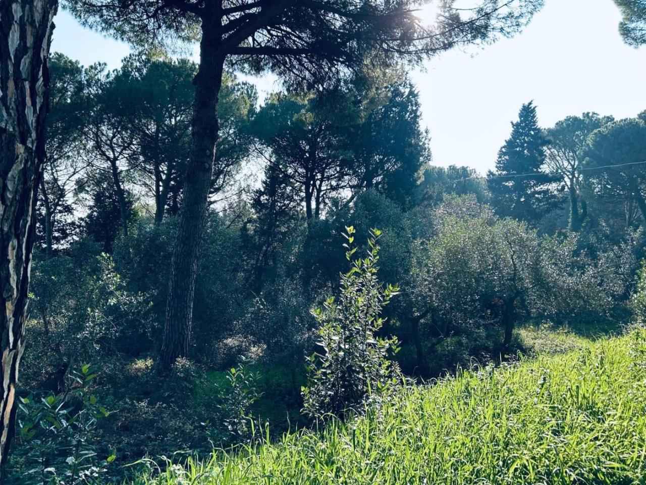 immagine annuncio 4 di 6