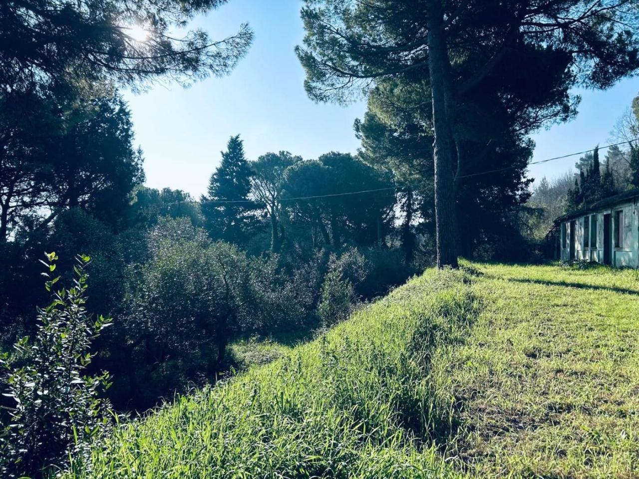 immagine annuncio 2 di 6