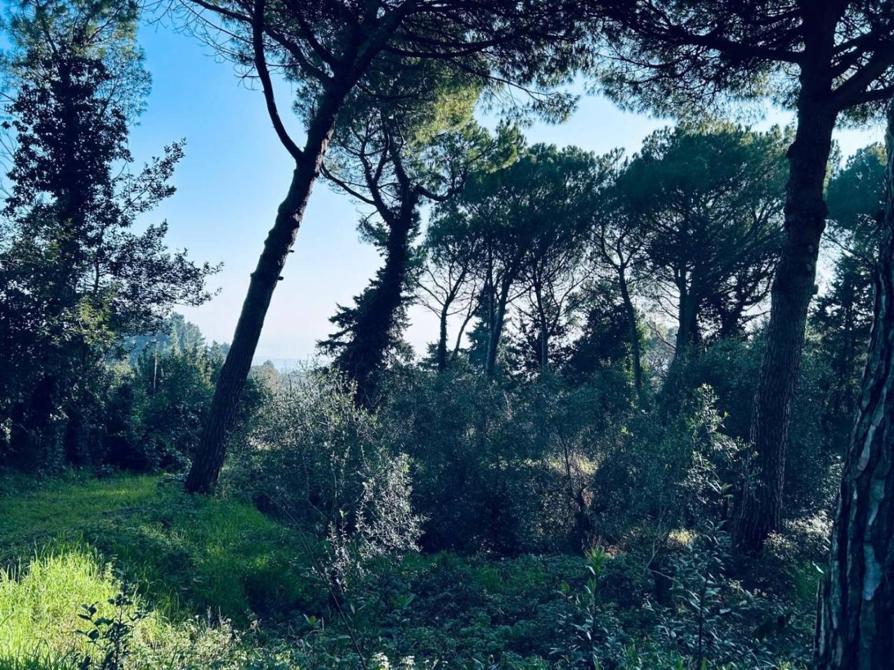 immagine annuncio 3 di 6