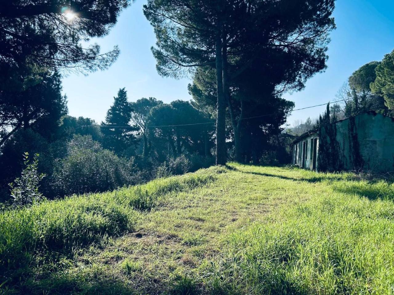 immagine annuncio 5 di 6