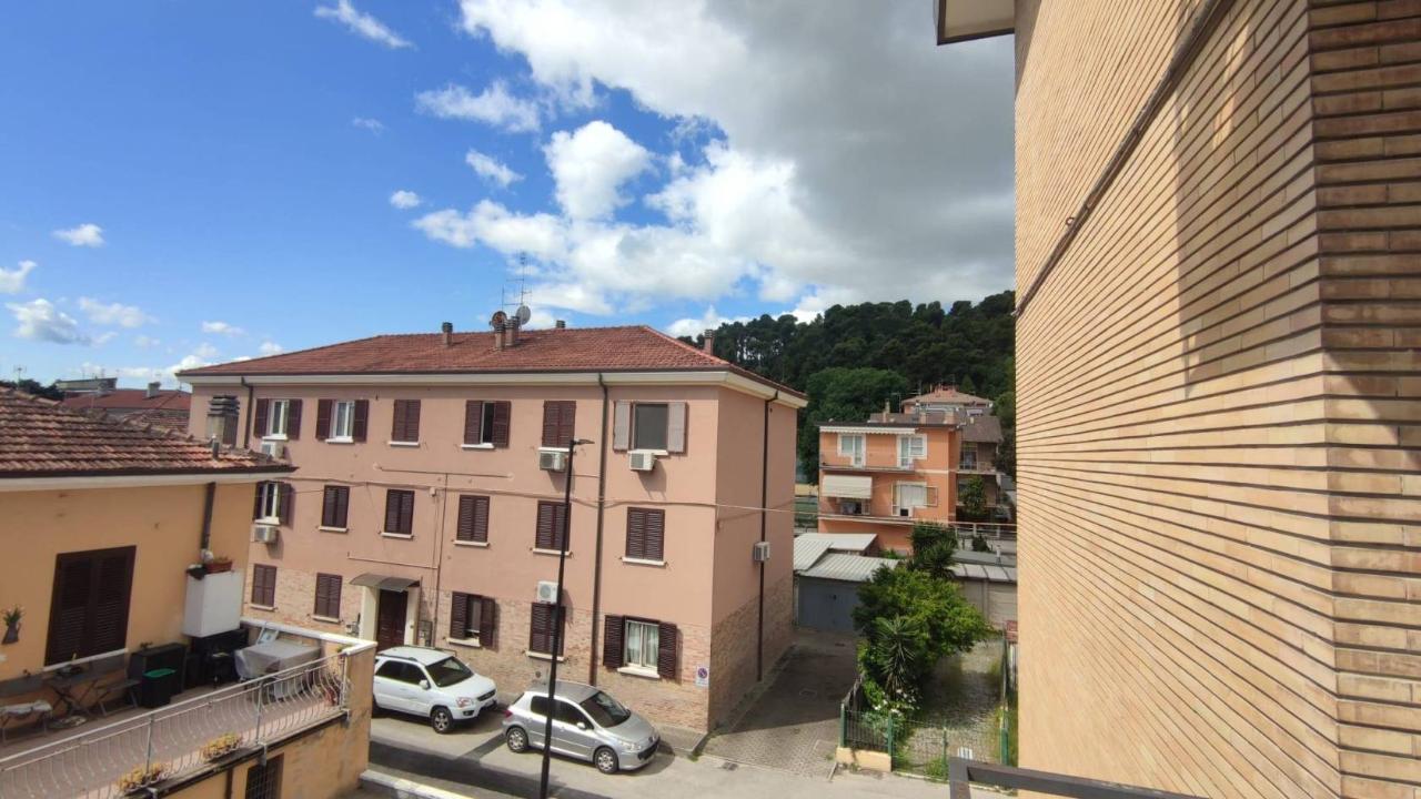 immagine annuncio 12 di 14