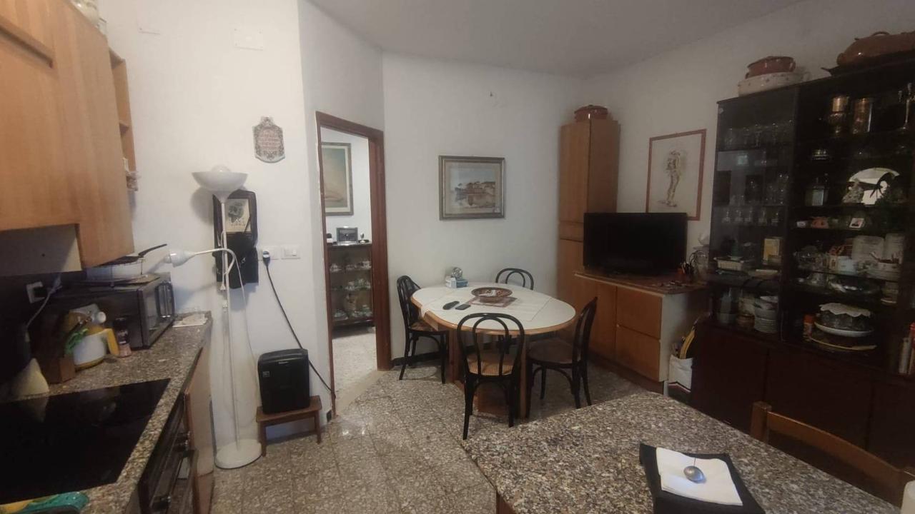 immagine annuncio 5 di 14