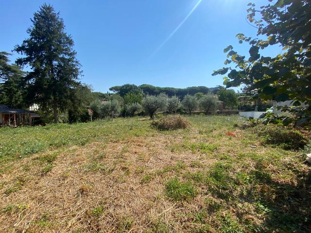 Agricultural land in Viale Giovanni Dusmet, Grottaferrata - Photo 1