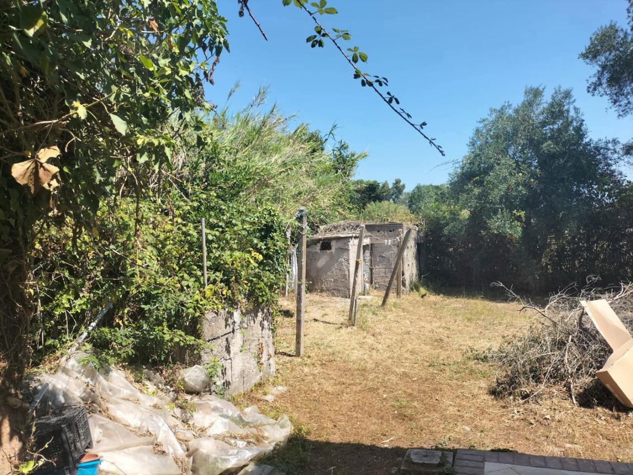 immagine annuncio 7 di 13