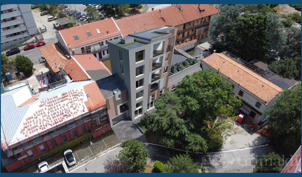 immagine annuncio 7 di 8