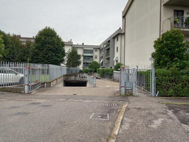 insertion image