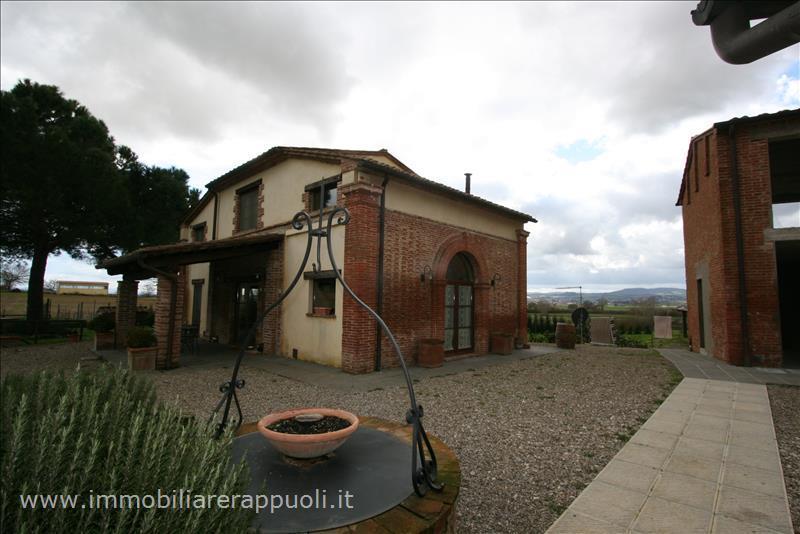 immagine annuncio 2 di 12