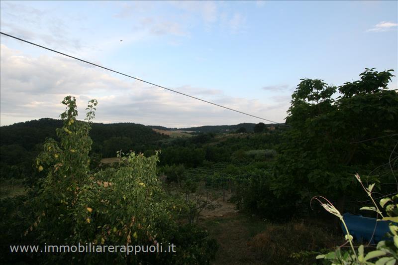 Casa indipendente in vendita a Trequanda