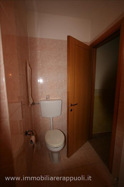 immagine annuncio 1 di 14