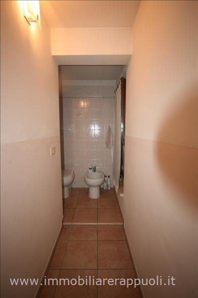 immagine annuncio 1 di 14