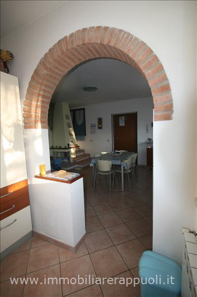 immagine annuncio 7 di 14