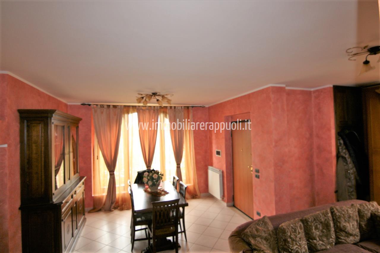 immagine annuncio 8 di 14