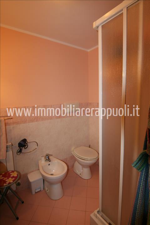 immagine annuncio 4 di 14