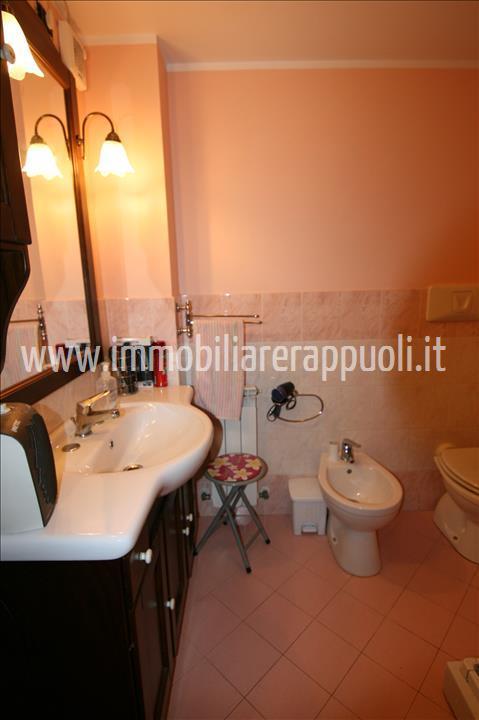 immagine annuncio 5 di 14