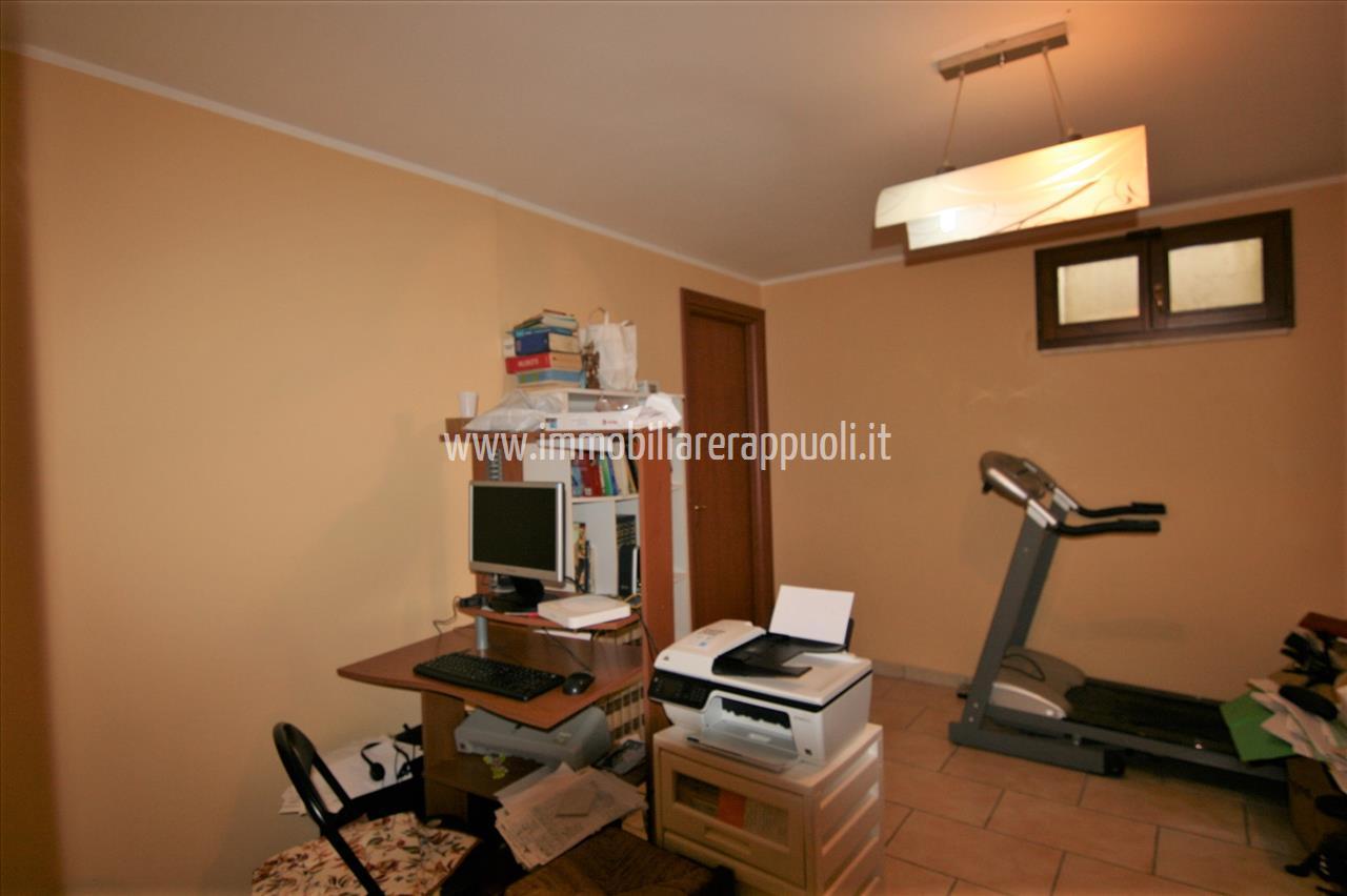 immagine annuncio 3 di 14