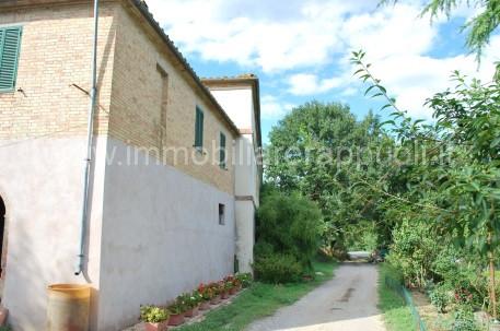 immagine annuncio 3 di 8