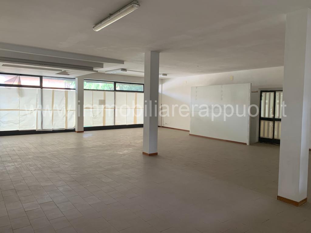 Esercizio commerciale in , Torrita Di Siena, {3} - Foto 1