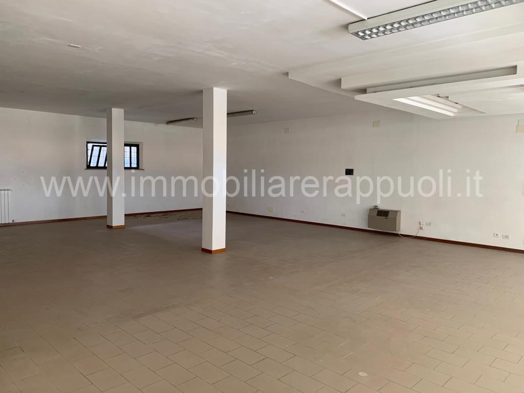 Esercizio commerciale in , Torrita Di Siena, {3} - Foto 2