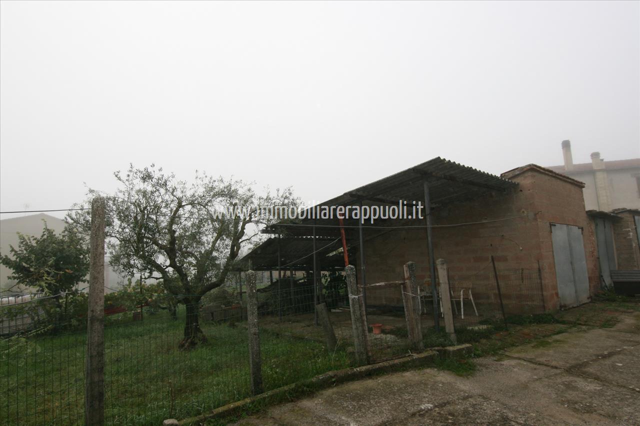 immagine annuncio 8 di 14