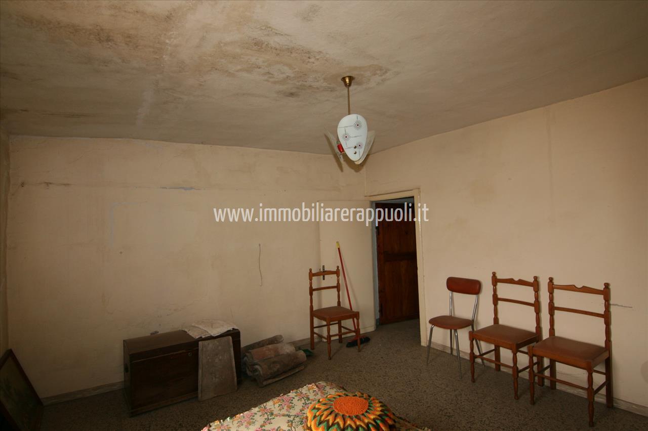 immagine annuncio 5 di 14