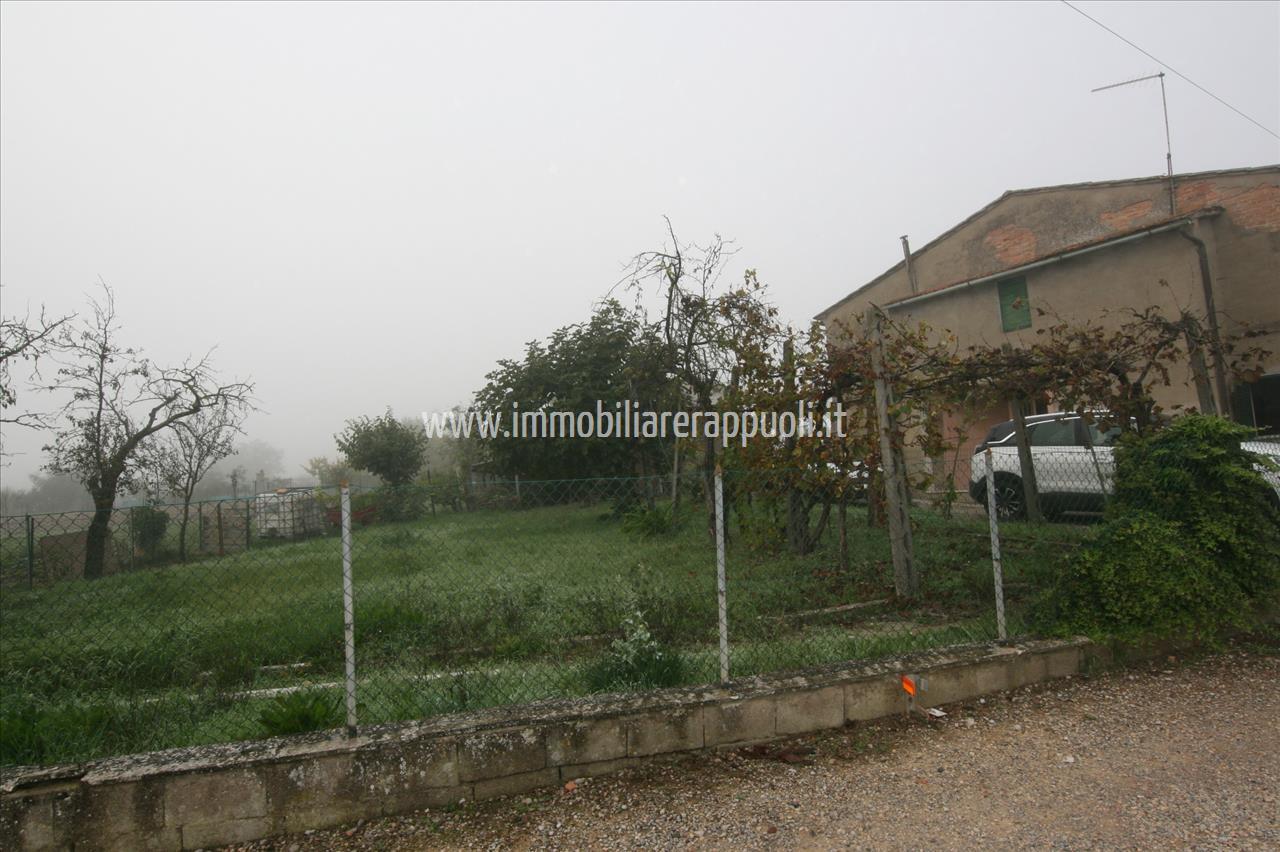immagine annuncio 7 di 14