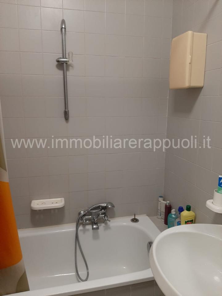 immagine annuncio 1 di 6
