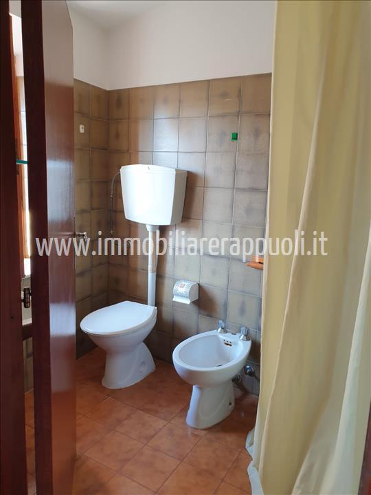 immagine annuncio 7 di 8