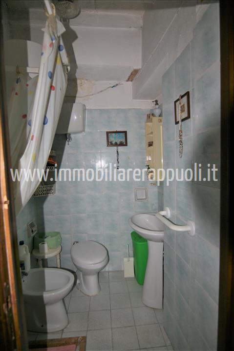 immagine annuncio 4 di 14